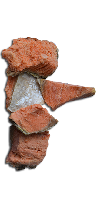 COSMOS WILD CAUGHT SALMON